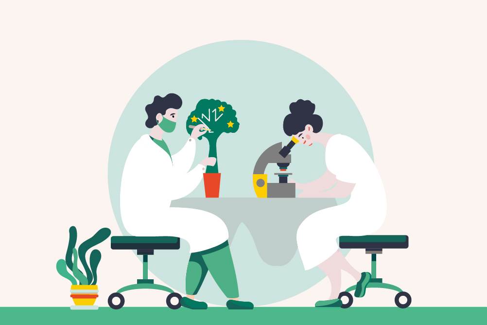 La Fundación Euro Caja Rural convoca cinco ayudas de 4.000 € para proyectos de investigación