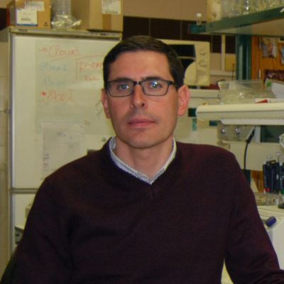 Rubén Martínez Buey Microbiología