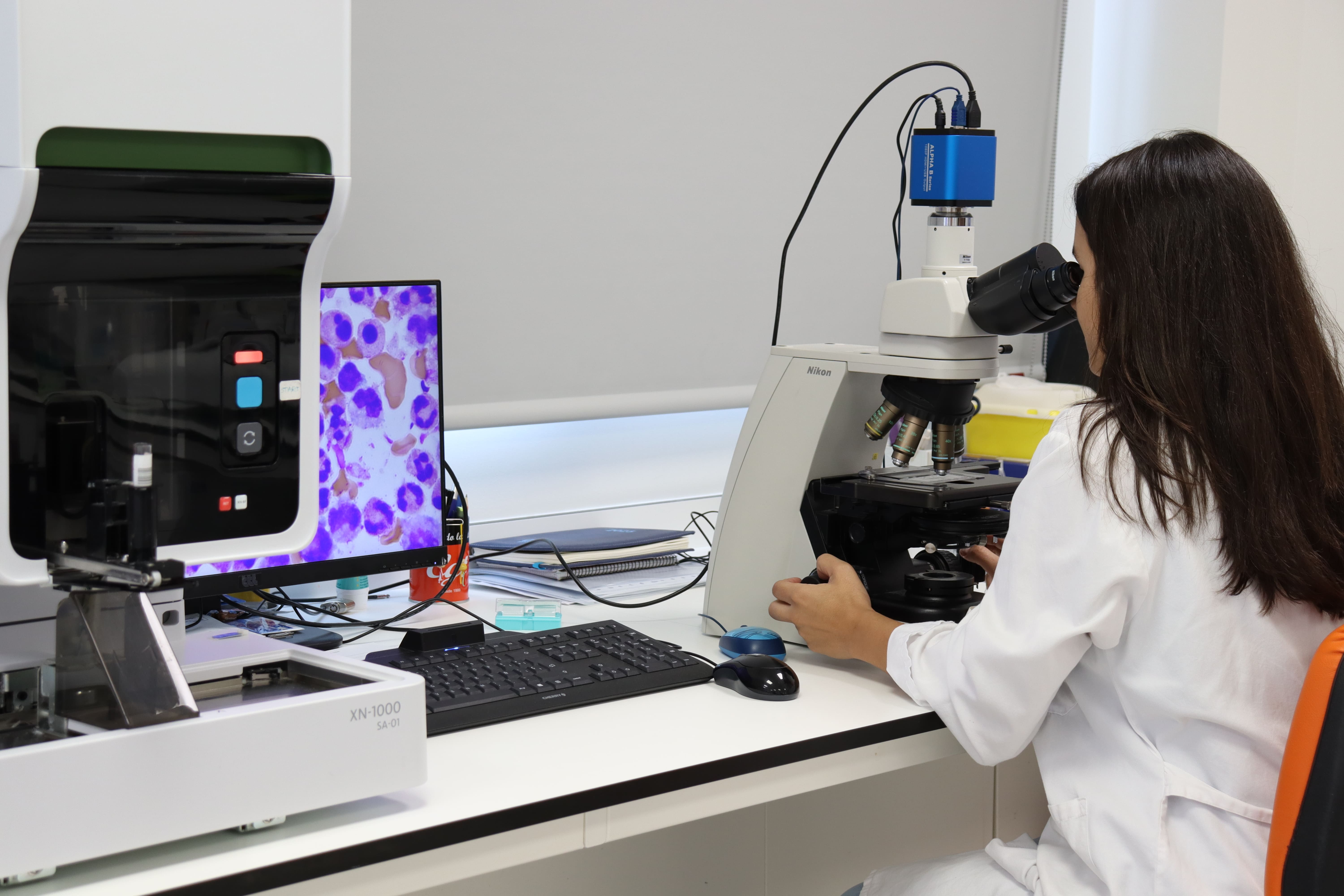 La Junta anuncia la creación de un centro en red para impulsar la investigación y la innovación en terapias avanzadas