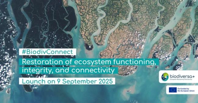 Convocatoria europea para proyectos que contribuyan a la restauración de ecosistemas